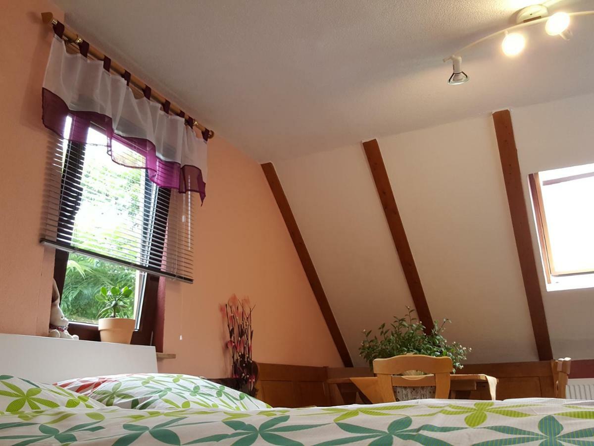 Ferienhaus Am Kirchberg Kurort Steinbach-Hallenberg Dış mekan fotoğraf