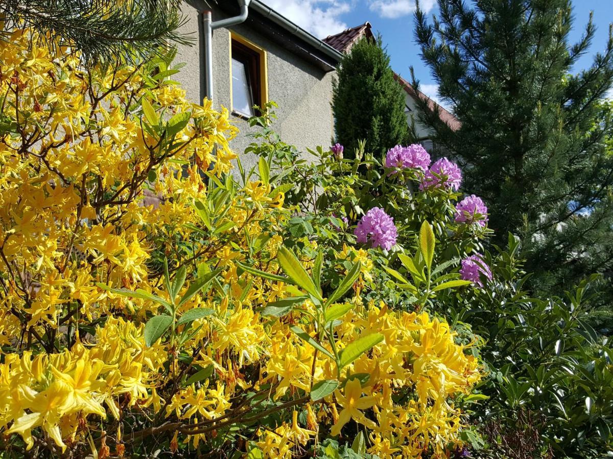 Ferienhaus Am Kirchberg Kurort Steinbach-Hallenberg Dış mekan fotoğraf