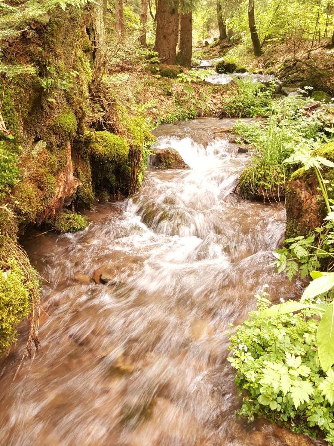Ferienhaus Am Kirchberg Kurort Steinbach-Hallenberg Dış mekan fotoğraf