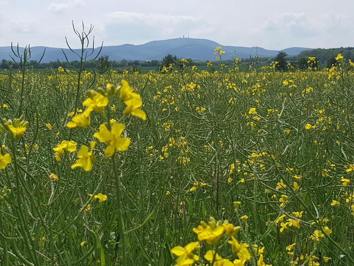 Ferienhaus Am Kirchberg Kurort Steinbach-Hallenberg Dış mekan fotoğraf